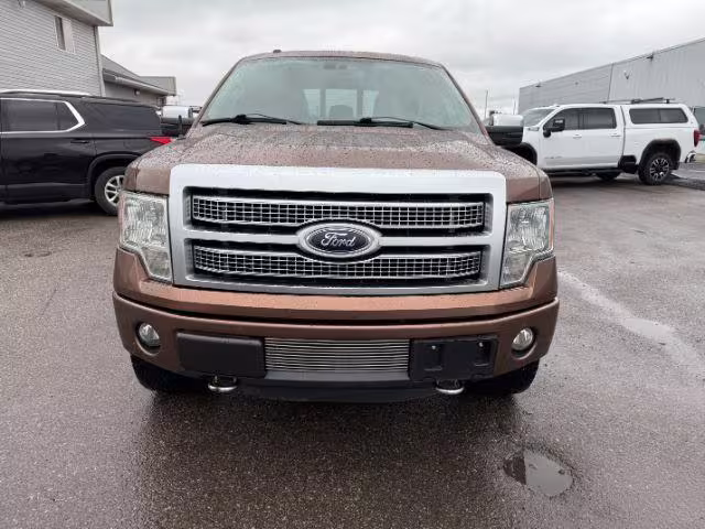 2012 Ford F-150 - 1FTFW1ET2CFC12756 - Image #10