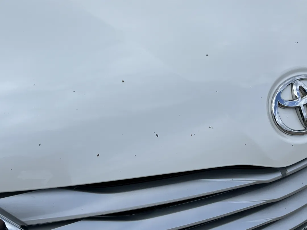 2013 Toyota Sienna - 5TDYK3DC0DS332770 - Image #48