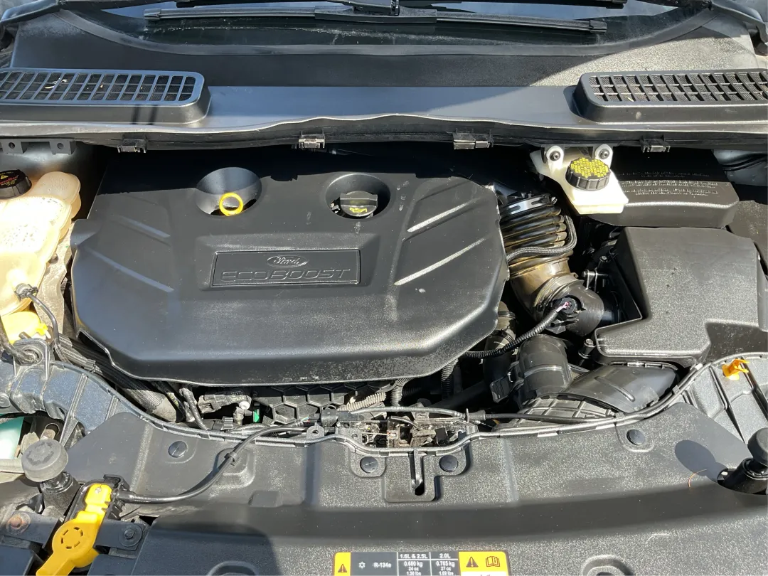 2014 Ford Escape - 1FMCU9J98EUE05988 - Image #10