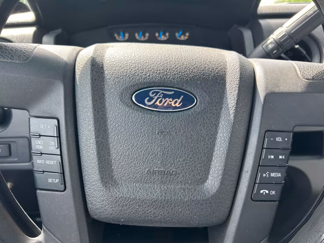 2014 Ford F-150 - 1FTEX1CM2EKF29435 - Image #13