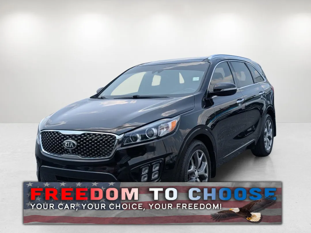 2016 Kia Sorento - 5XYPK4A18GG041813 - Image #1