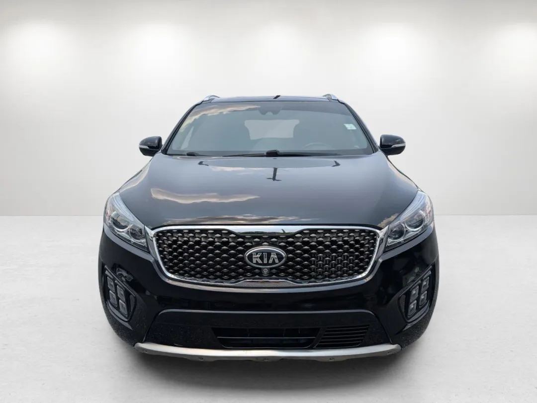 2016 Kia Sorento - 5XYPK4A18GG041813 - Image #2