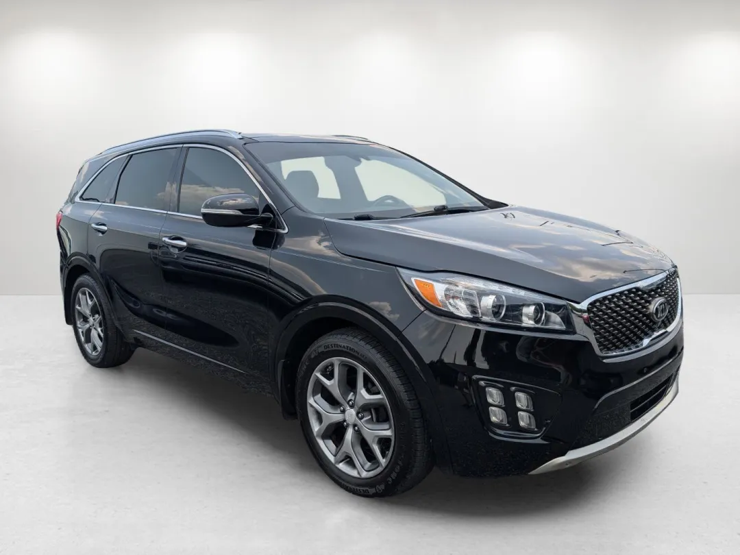 2016 Kia Sorento - 5XYPK4A18GG041813 - Image #3