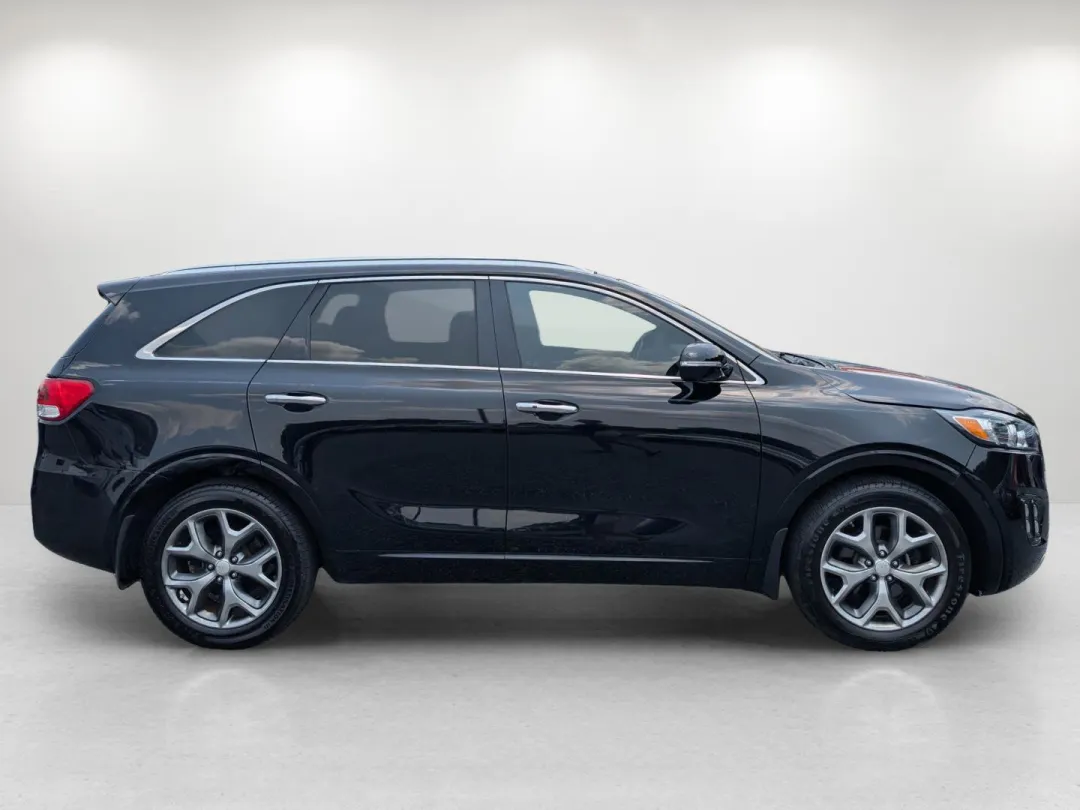 2016 Kia Sorento - 5XYPK4A18GG041813 - Image #4
