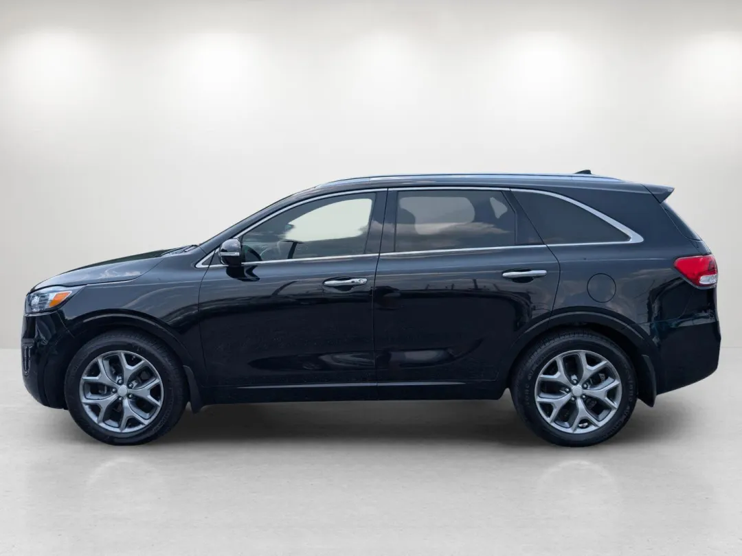 2016 Kia Sorento - 5XYPK4A18GG041813 - Image #8