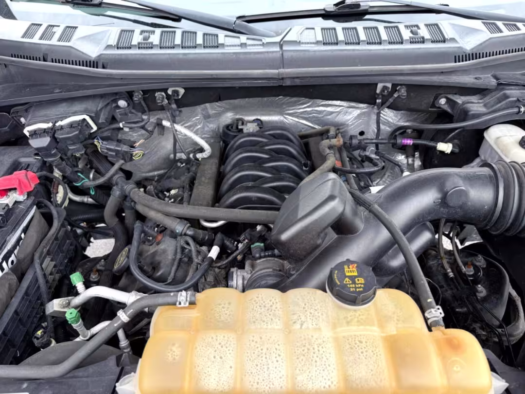 2017 Ford F-150 - 1FTEW1EF4HFA75574 - Image #17