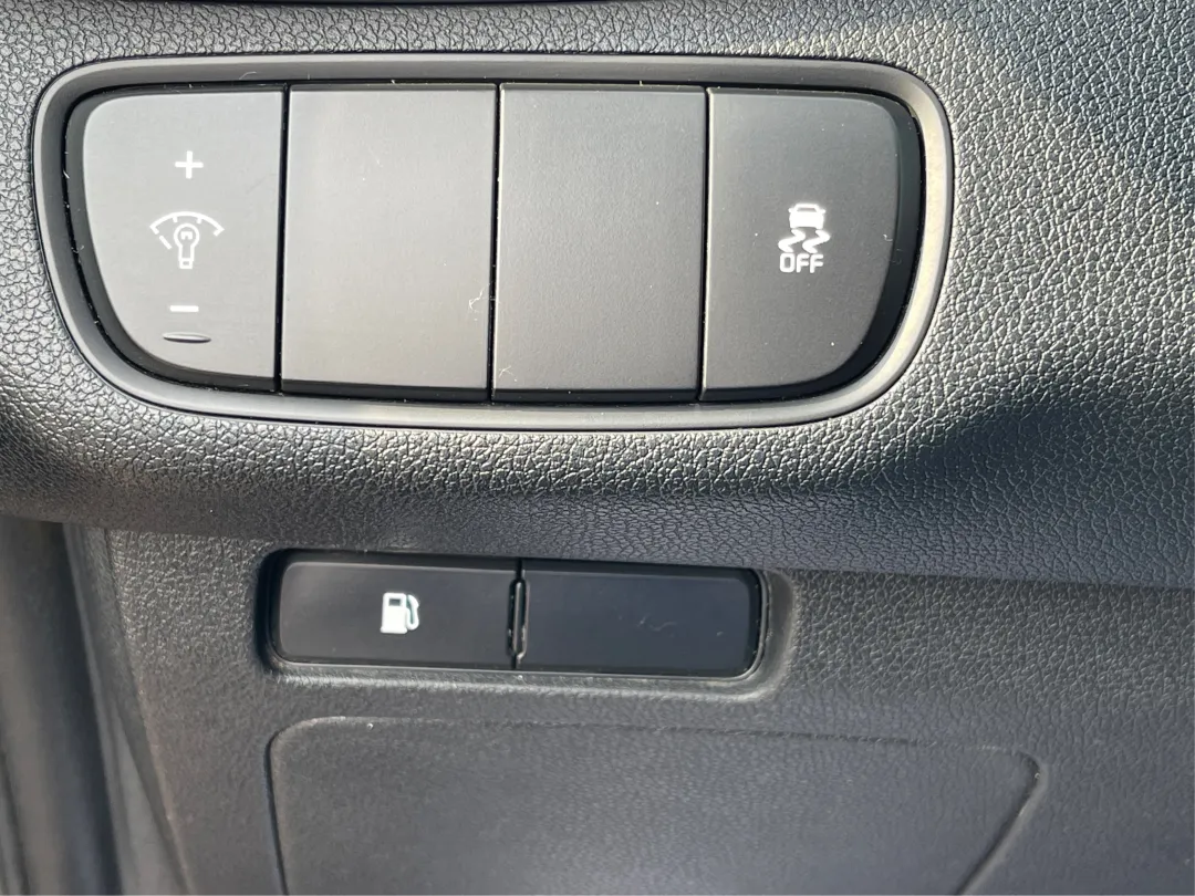 2017 Kia Sorento - 5XYPG4A3XHG265332 - Image #17